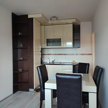 Apartment Bloom Soko Banja